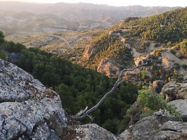 Vista Mora Sierra Cazorla Βίλα La Iruela Εξωτερικό φωτογραφία